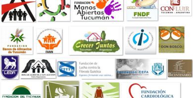 que tipos de organizaciones no gubernamentales existen