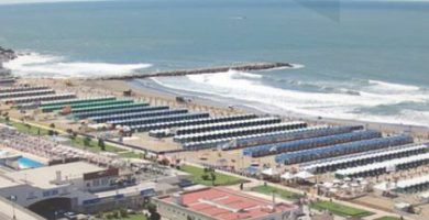 quien designa al escribano