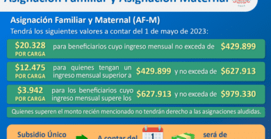 quien paga las cargas familiares en chile