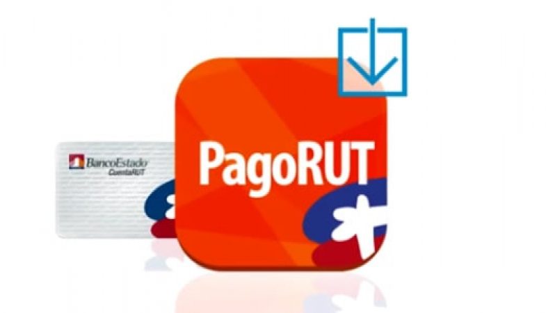 rut pagador