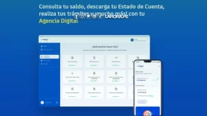 Cómo saber cuánto tengo en mi AFP sin clave en Chile saldo-afp