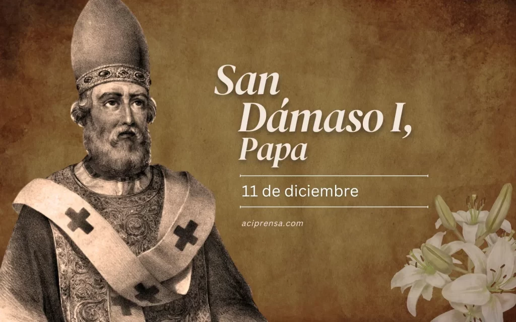 Dónde está la Planta de Revisión Técnica San Dámaso en Viña del Mar 1 san damaso