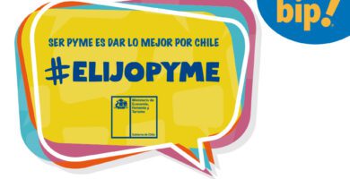 Cómo usar la tarjeta Bip en el celular en Chile 8 tarjeta bip 1